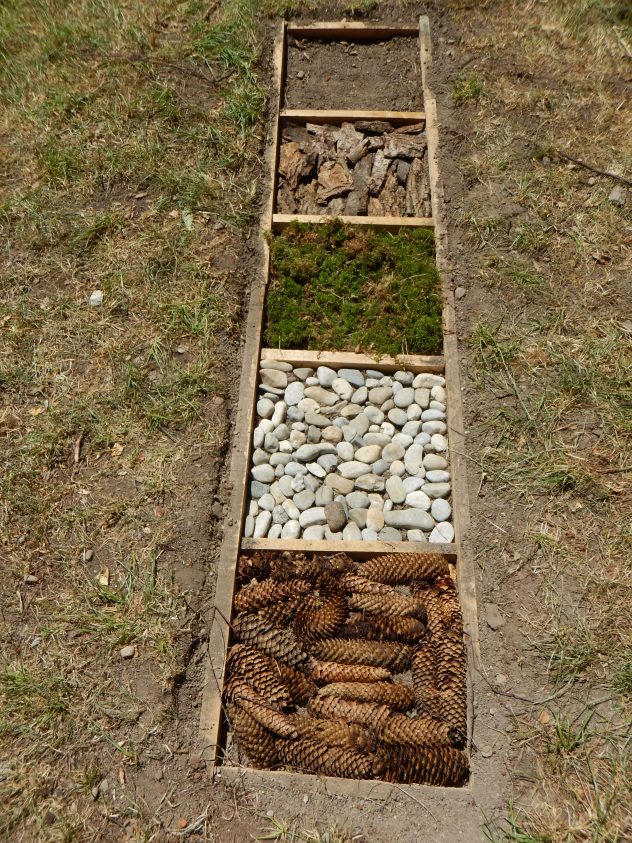  Foto zu Barfußpfad im Waldkindergarten – Waldkindergarten Ismaning 